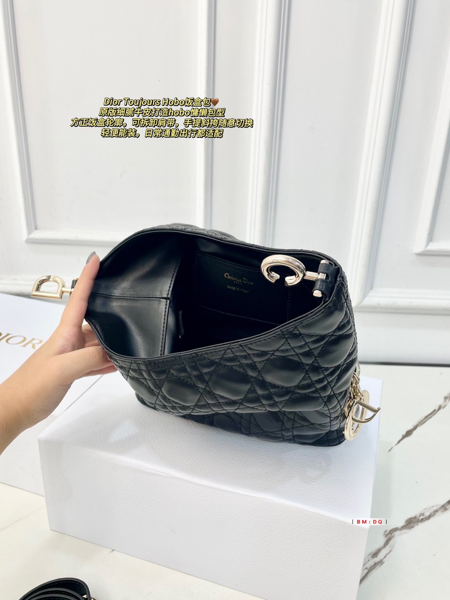 Dior Sac Femme