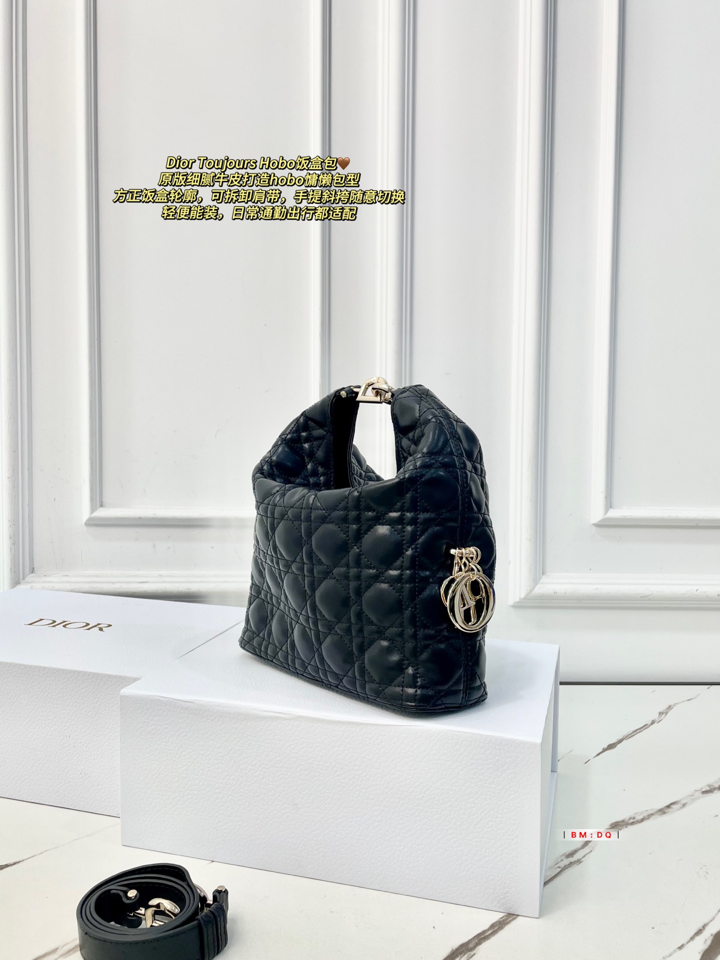Dior Sac Femme