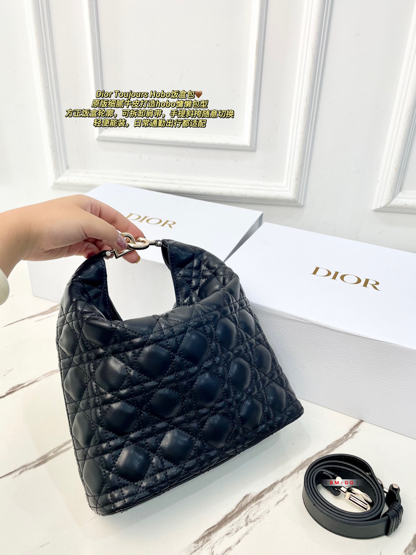 Dior Sac Femme