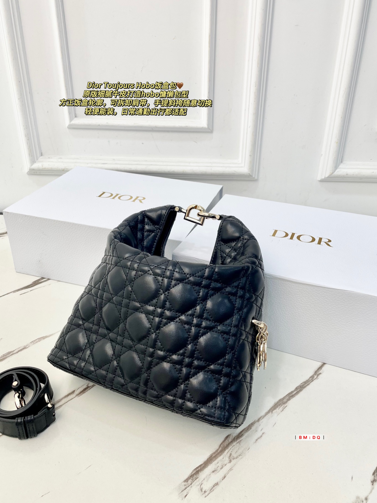 Dior Sac Femme
