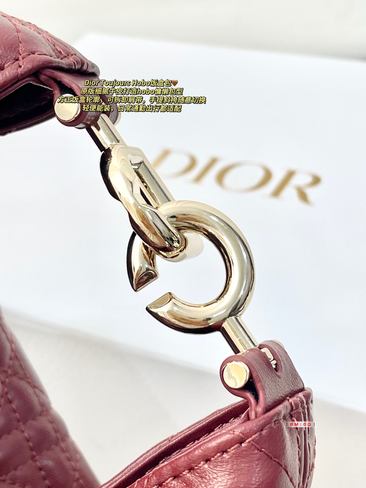 Dior Sac Femme
