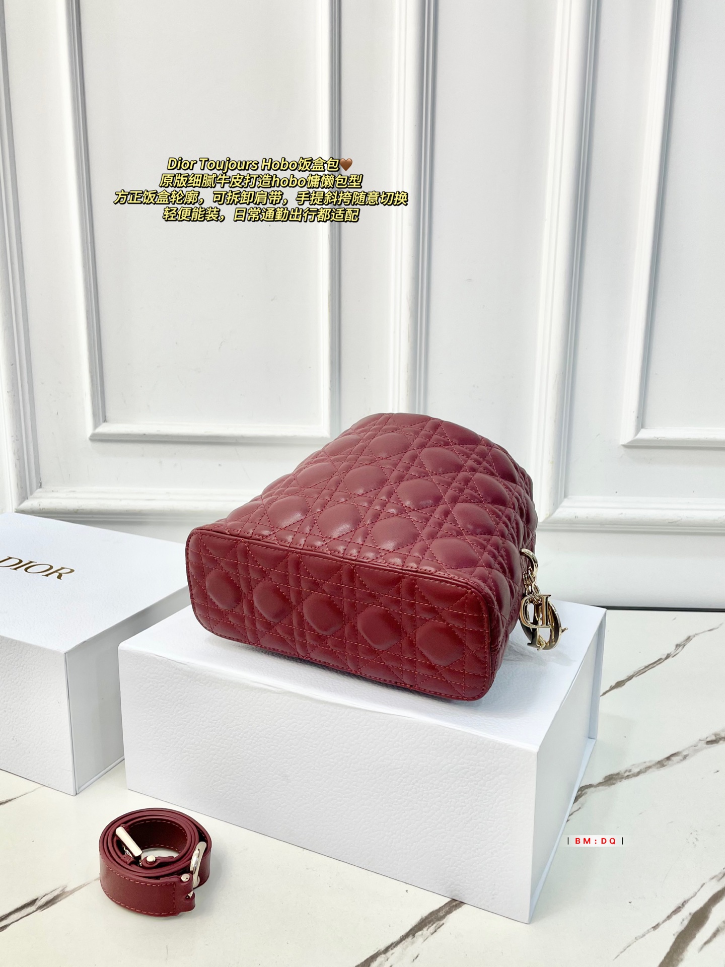 Dior Sac Femme
