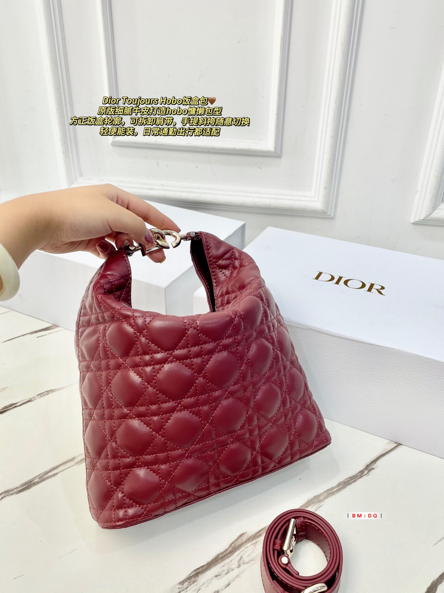 Dior Sac Femme