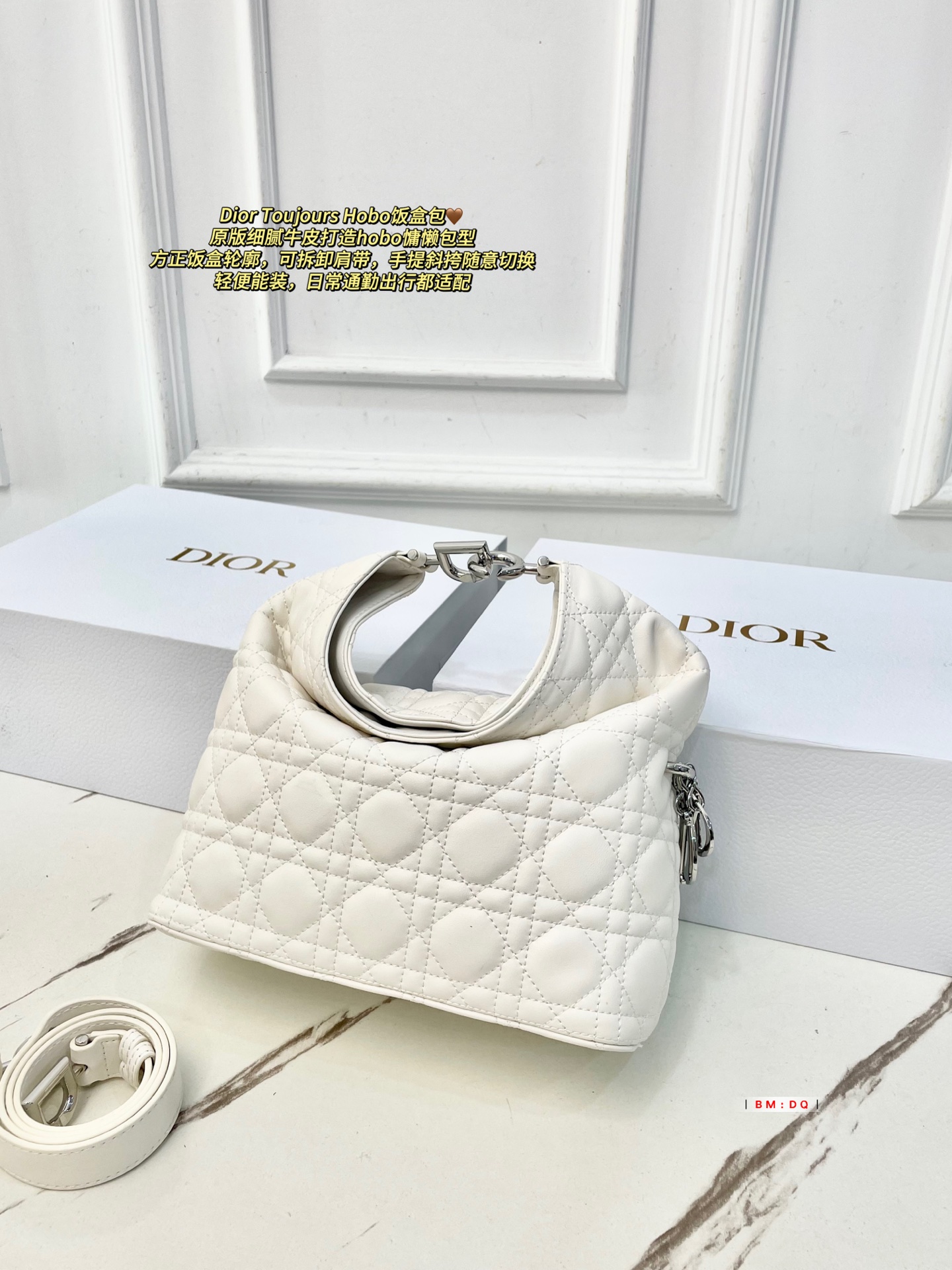 Dior Sac Femme