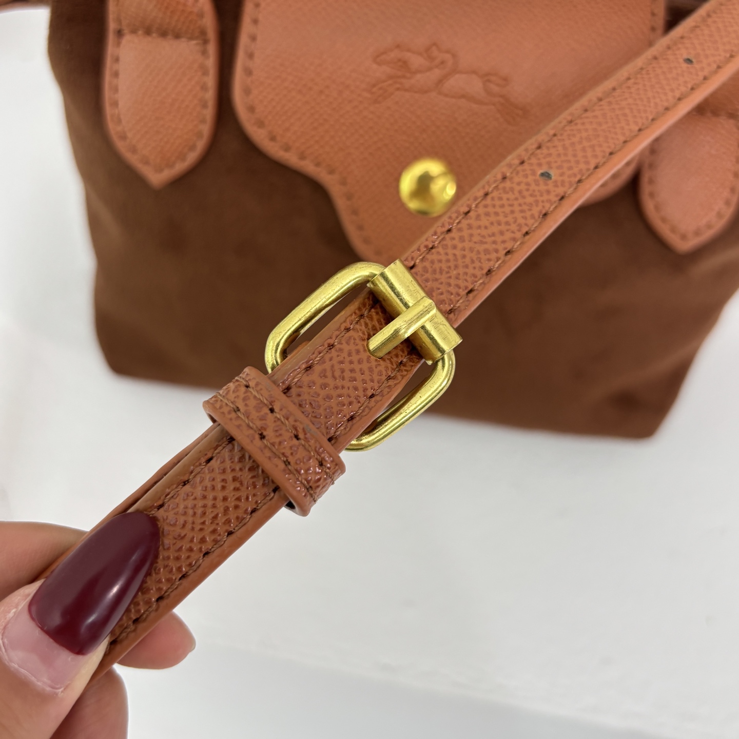 Longchamp Le Pliage